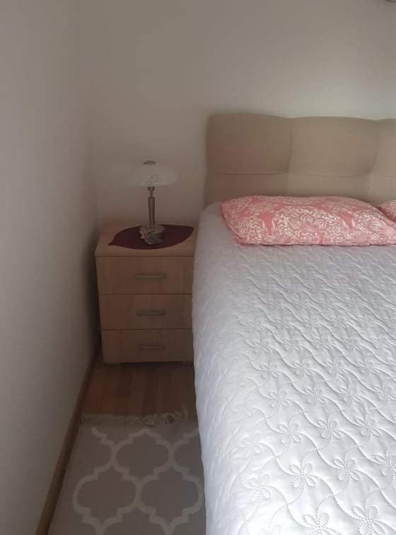 Vila Irina - Apartman Milos 科帕奥尼克 外观 照片