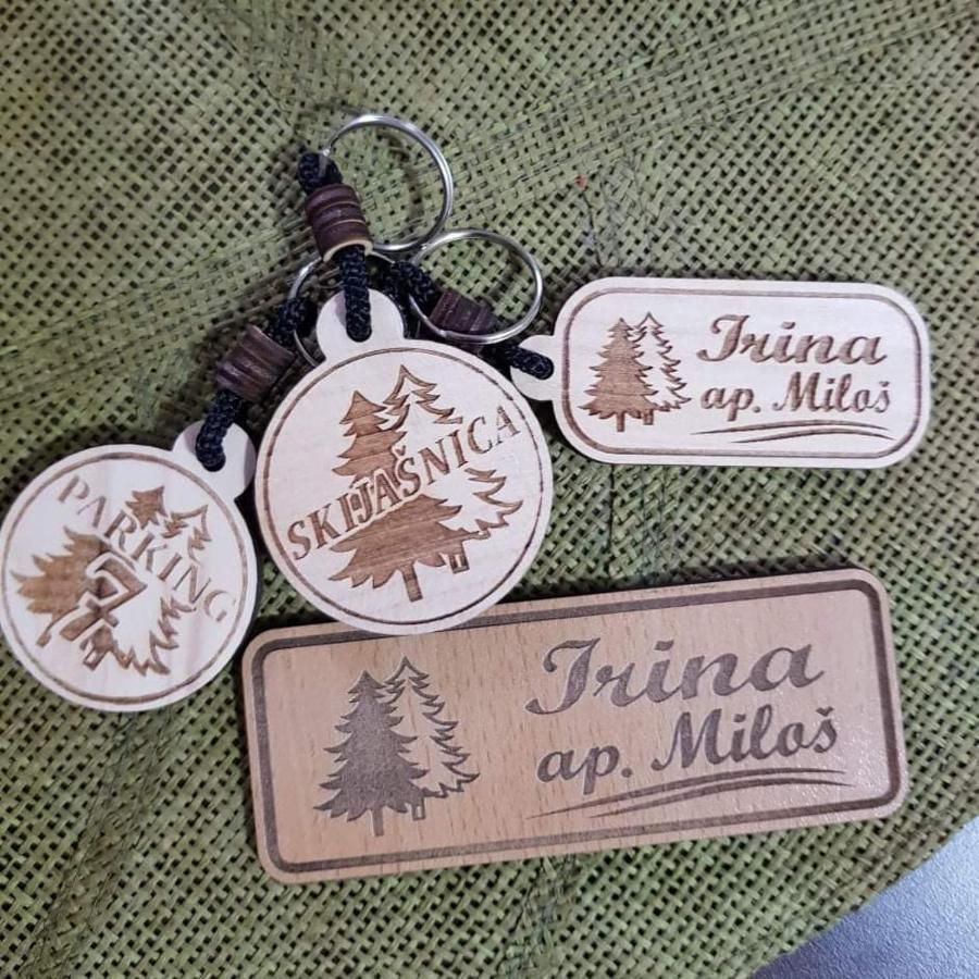 Vila Irina - Apartman Milos 科帕奥尼克 外观 照片