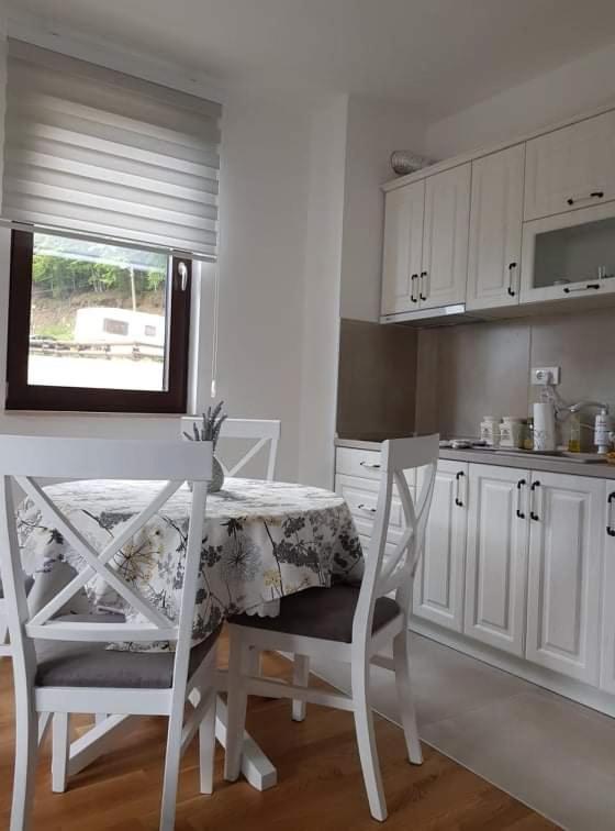Vila Irina - Apartman Milos 科帕奥尼克 外观 照片
