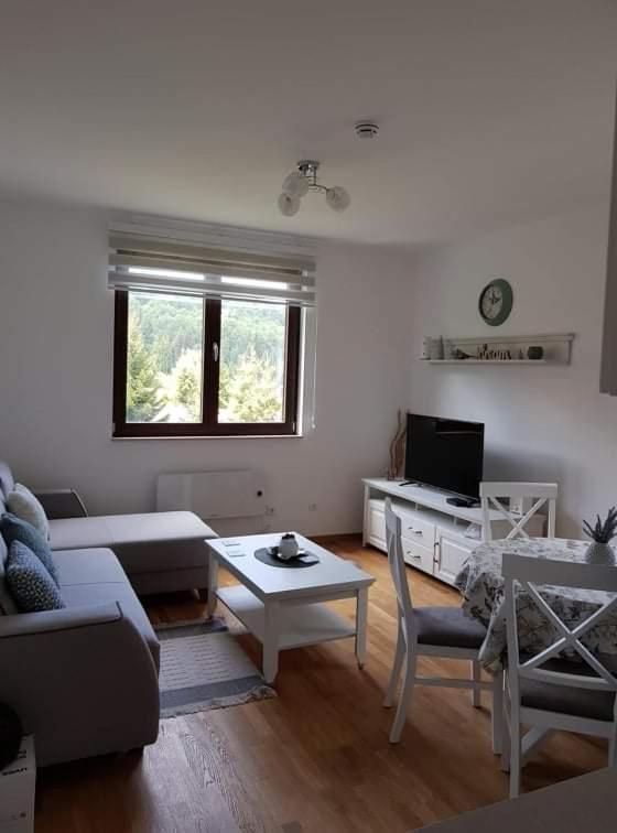 Vila Irina - Apartman Milos 科帕奥尼克 外观 照片