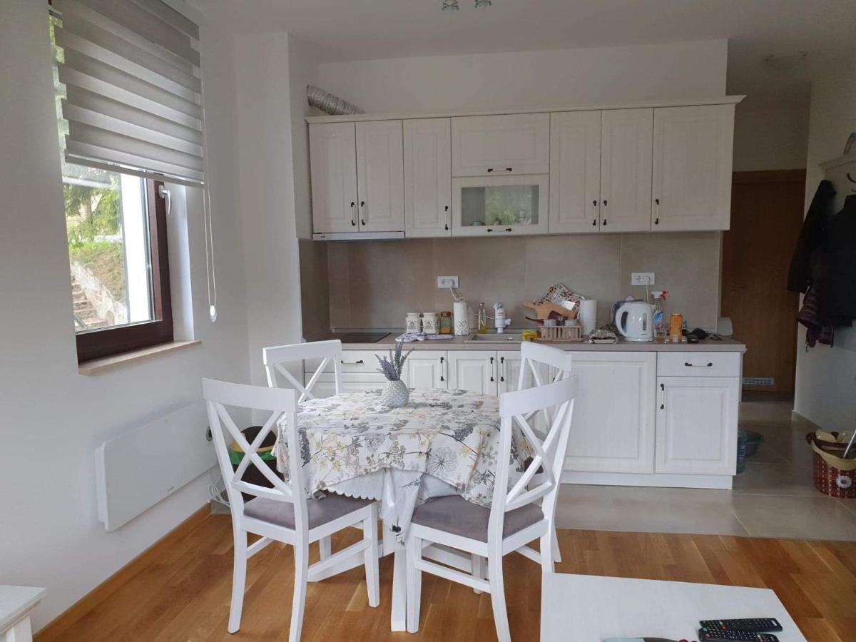Vila Irina - Apartman Milos 科帕奥尼克 外观 照片