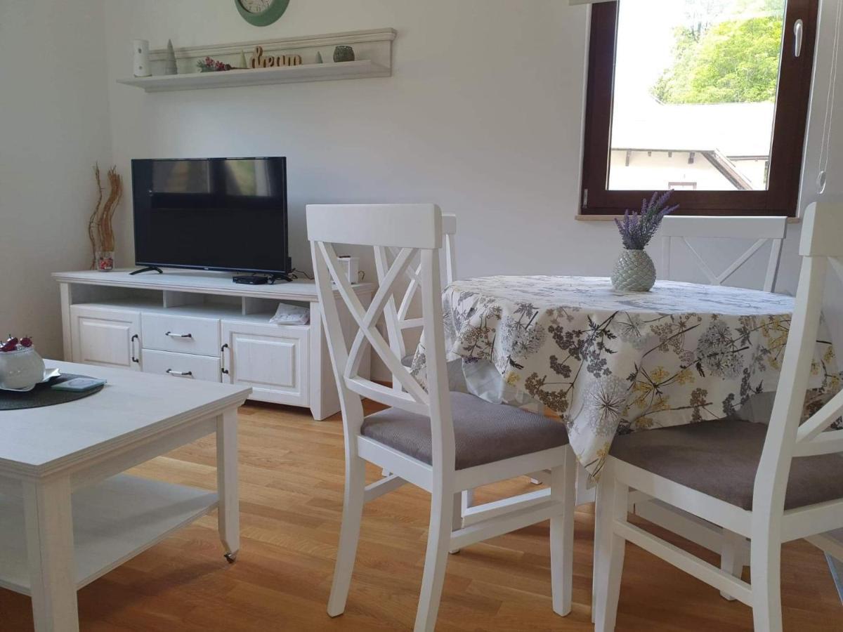 Vila Irina - Apartman Milos 科帕奥尼克 外观 照片